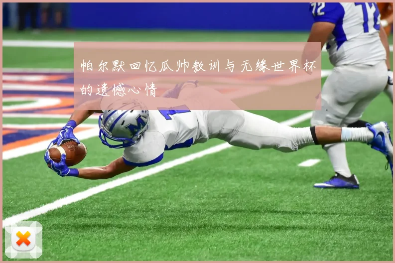 帕尔默回忆瓜帅教训与无缘世界杯的遗憾心情