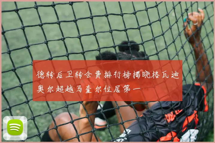 德转后卫转会费排行榜揭晓格瓦迪奥尔超越马奎尔位居第一