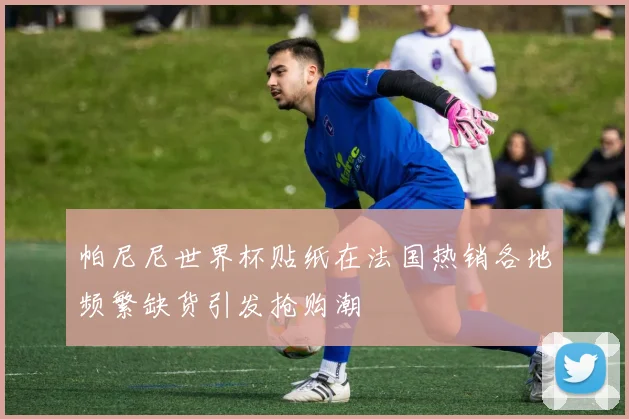 帕尼尼世界杯贴纸在法国热销各地频繁缺货引发抢购潮