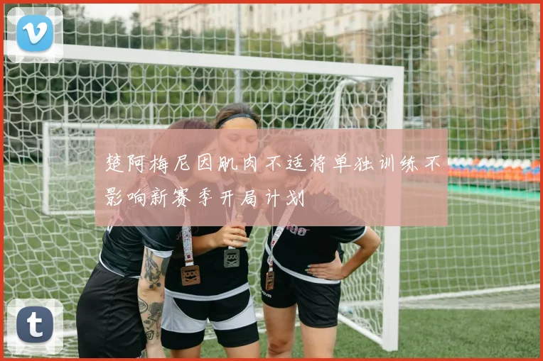 楚阿梅尼因肌肉不适将单独训练不影响新赛季开局计划